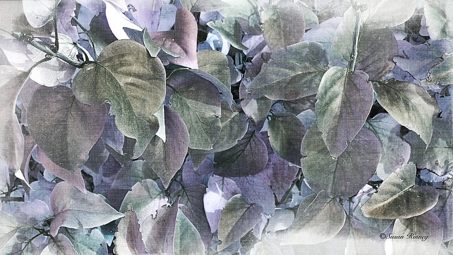 Lilac Leafs Digital Art by Susan Kinney