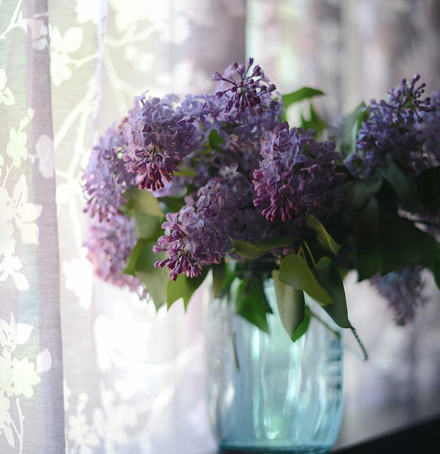 Flower Photograph - Lilac Morning by Linda Mishler