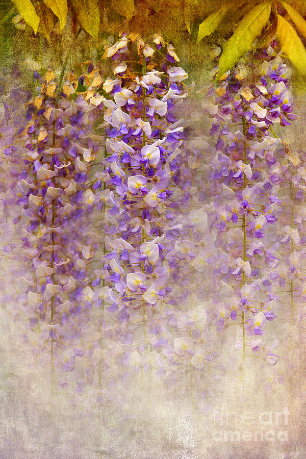 Abstract Digital Art - Lilac Painting by Svetlana Sewell