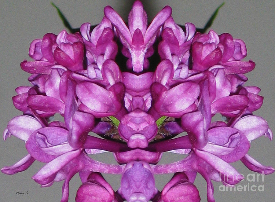Flower Photograph - Lilac Twins by Nina Silver