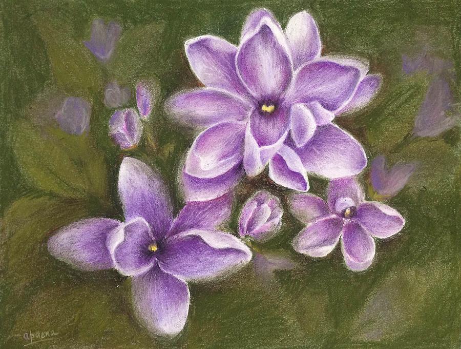 Lilacs Pastel - Lilacs by Aparna Deshpande