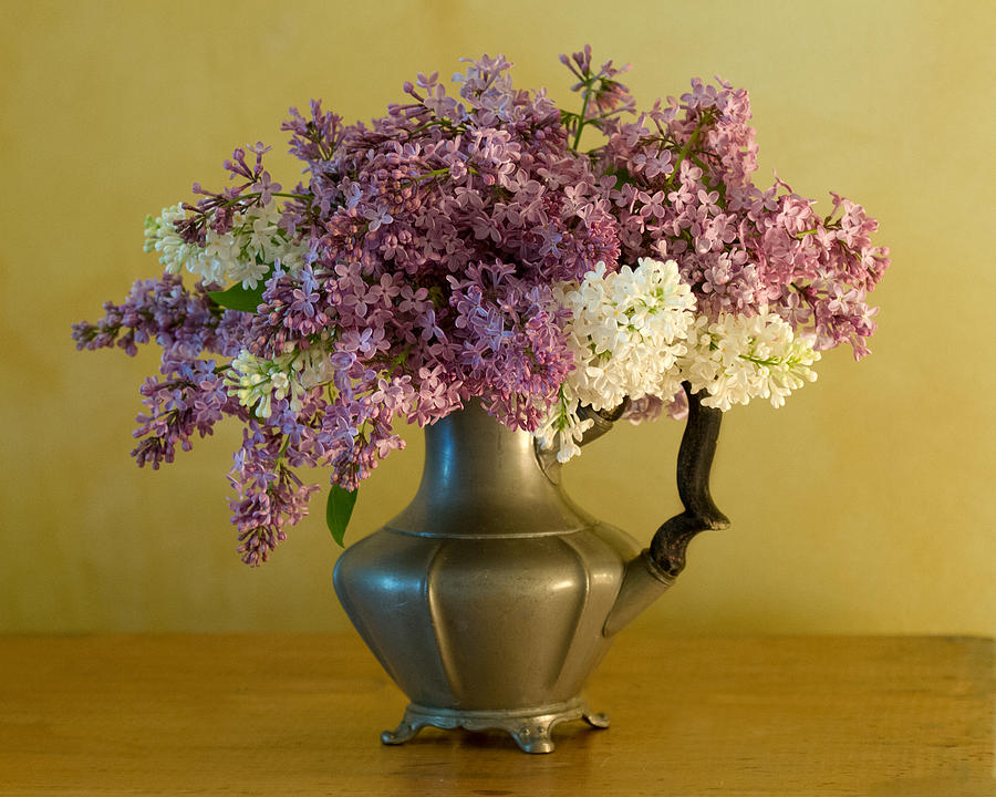 Lilac Photograph - Lilacs in a Pewter Jug by Ness Welham