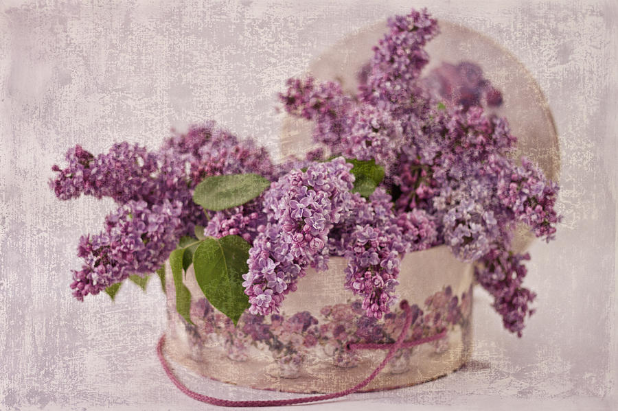 Lilacs In The Box Photograph by Sandra Foster