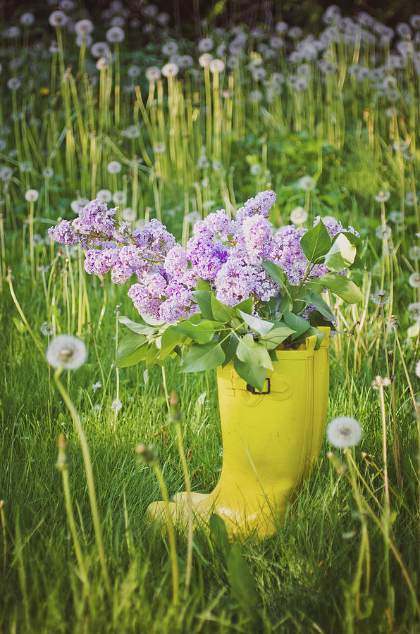 Lilacs In Yellow Rubber Boots Photograph by Danielle Donders