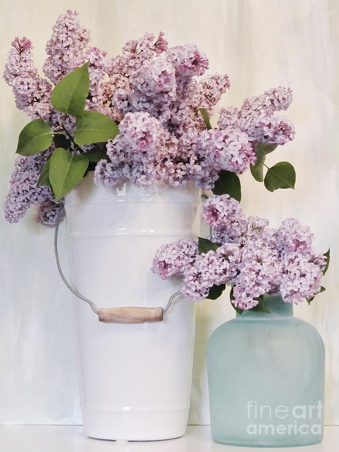 Lilacs Still Life Photograph by Marsha Heiken