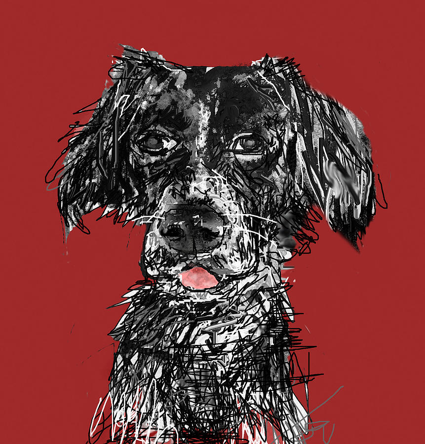 Dog Digital Art - Lilah by Joyce Goldin