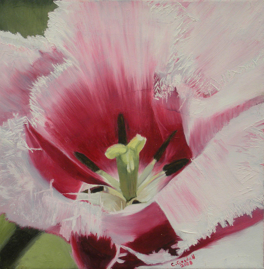 Lilicaea Tulipa Painting by Claudia Goodell