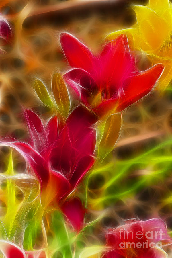 Flower Photograph - Lilies-6338-Fractal by Gary Gingrich Galleries