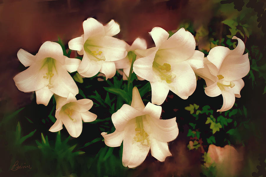 Lilies Aglow Photograph by Bonnie Willis