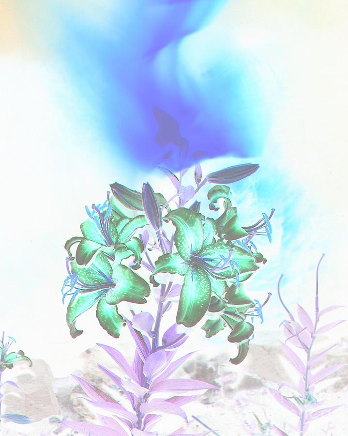 Lilies And Smoke Photograph