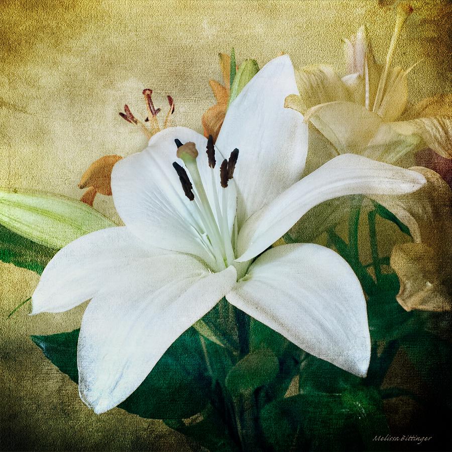 Lilies for Linda Photograph by Melissa Bittinger