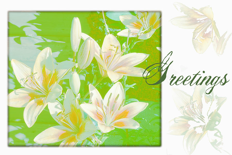 White Lilies Digital Art - Lilies Greeting Card by Sandra Foster