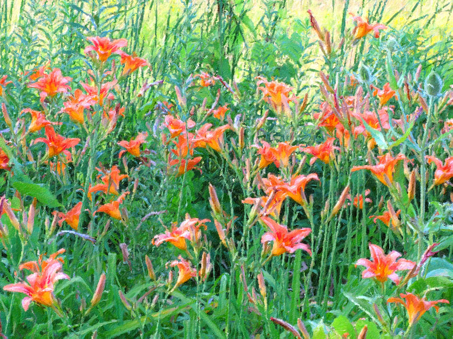 Lilies in Bloom - Digital Painting Effect Photograph by Rhonda Barrett