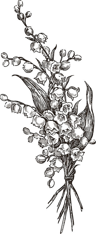 Lilies of the valley Drawing by Mubai