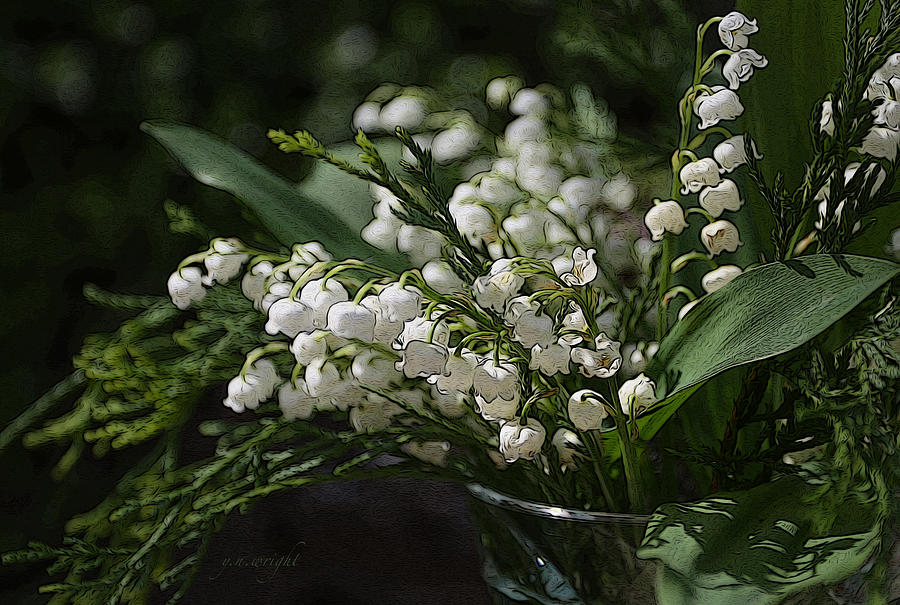 Summer Photograph - Lilies of the Valley by Yvonne Wright