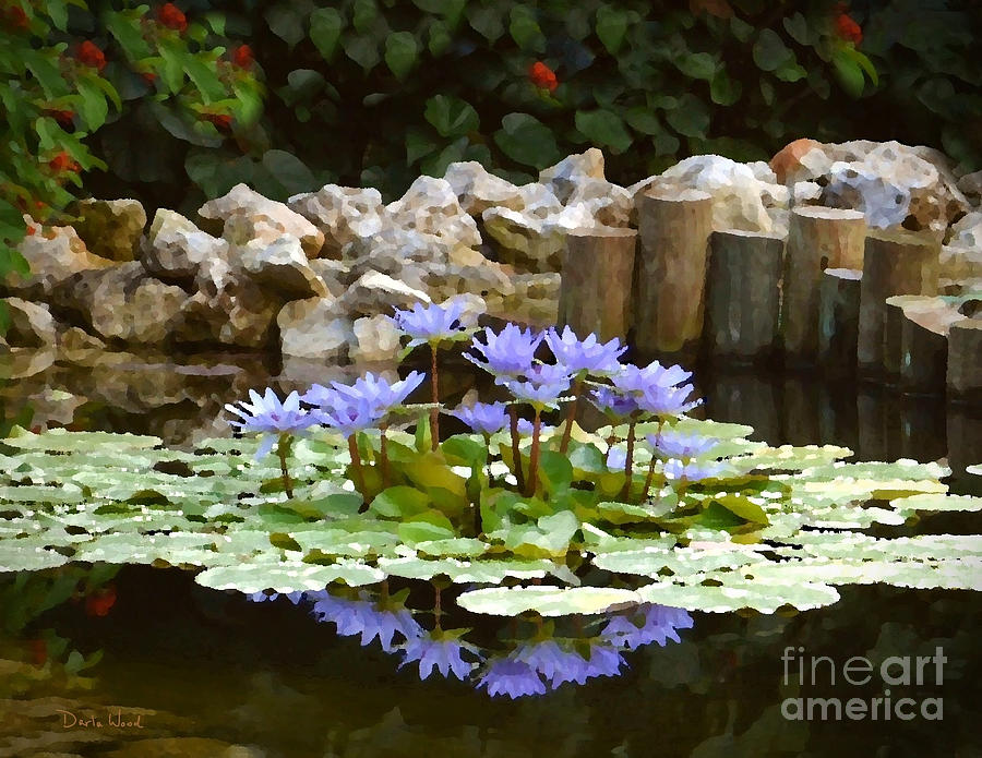 Lilies on the Pond Digital Art by Darla Wood