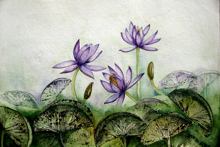 Flower Painting - Lillies-3 by Sucheta Misra