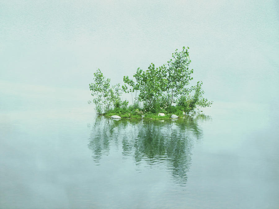 Lilliput Island Photograph By Francois Dion Fine Art America