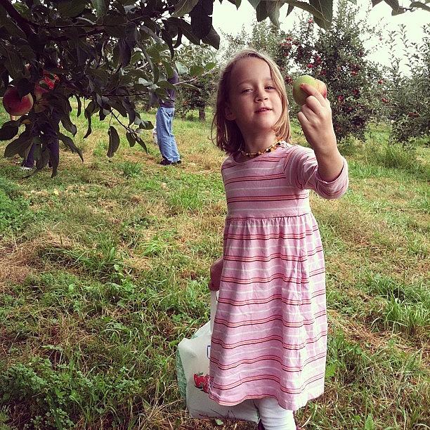 Lilly And Her First Pick. @cyanotype Photograph by Allison Clayton