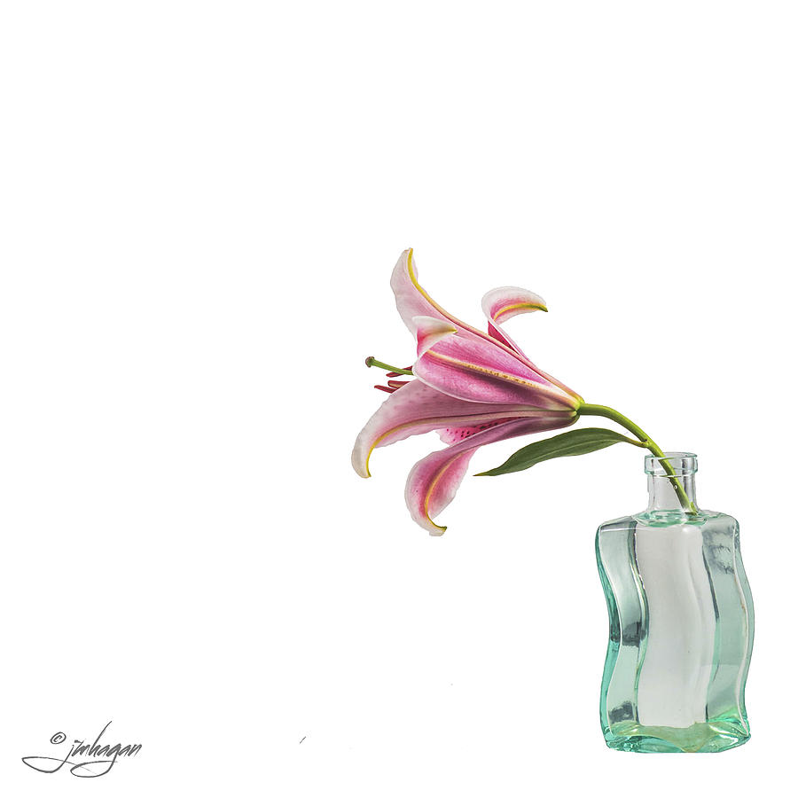 Floral Photograph - Lilly in Aqua bottle by Jan Hagan
