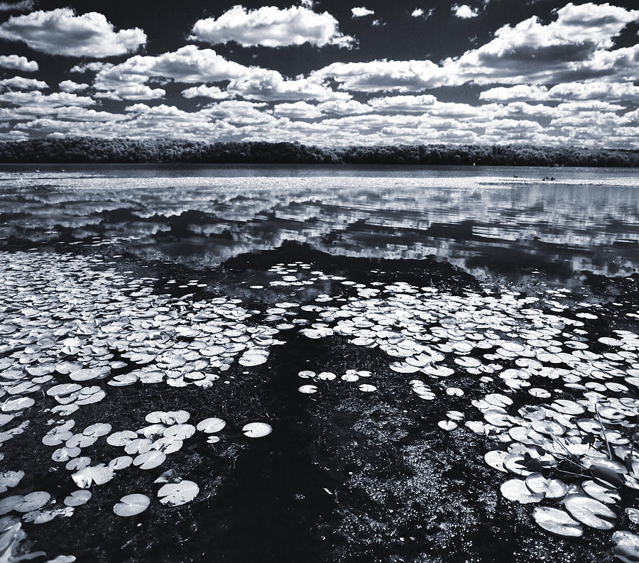Lilly Lake Photograph by Thomas Shanahan