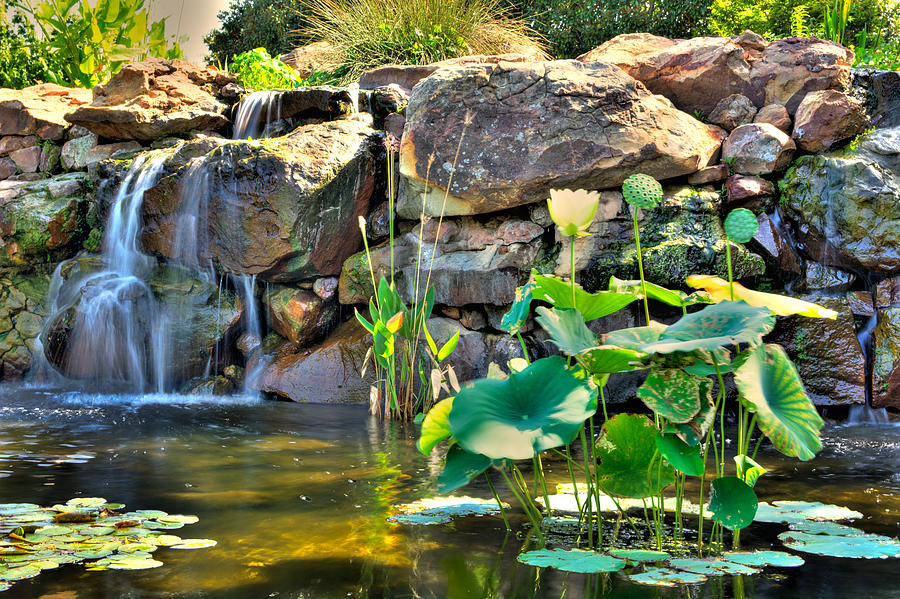 Waterfall Photograph - Lily pads by the waterfall by Geoff Mckay