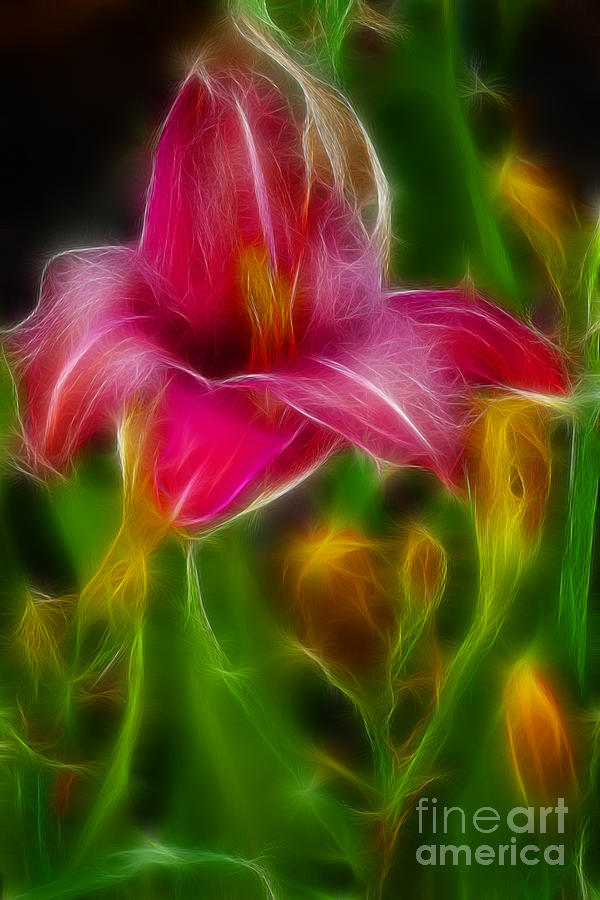 Flower Photograph - Lily-6082-Fractal by Gary Gingrich Galleries