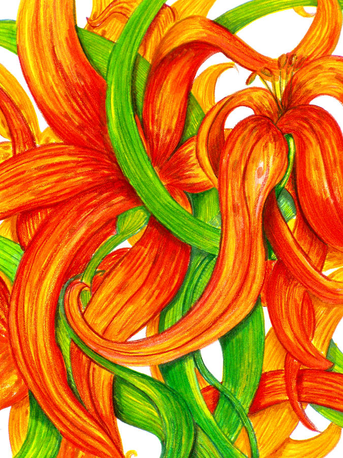 Lily Abstract Drawing
