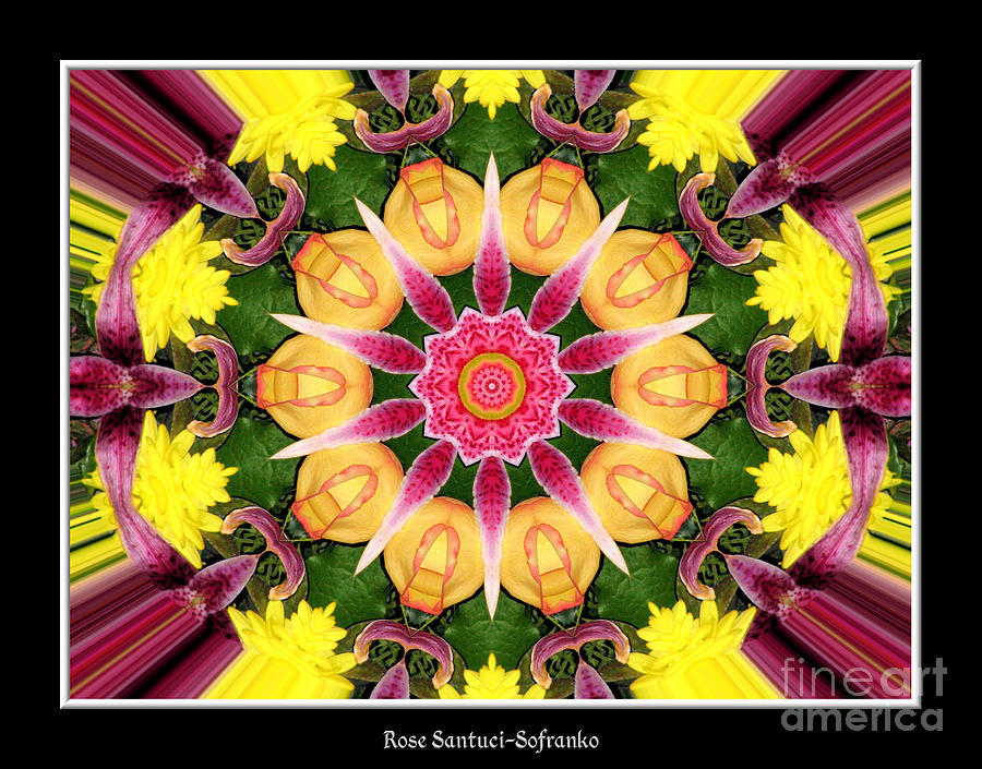 Lily and Chrysanthemums flower Kaleidoscope Photograph by Rose Santuci-Sofranko