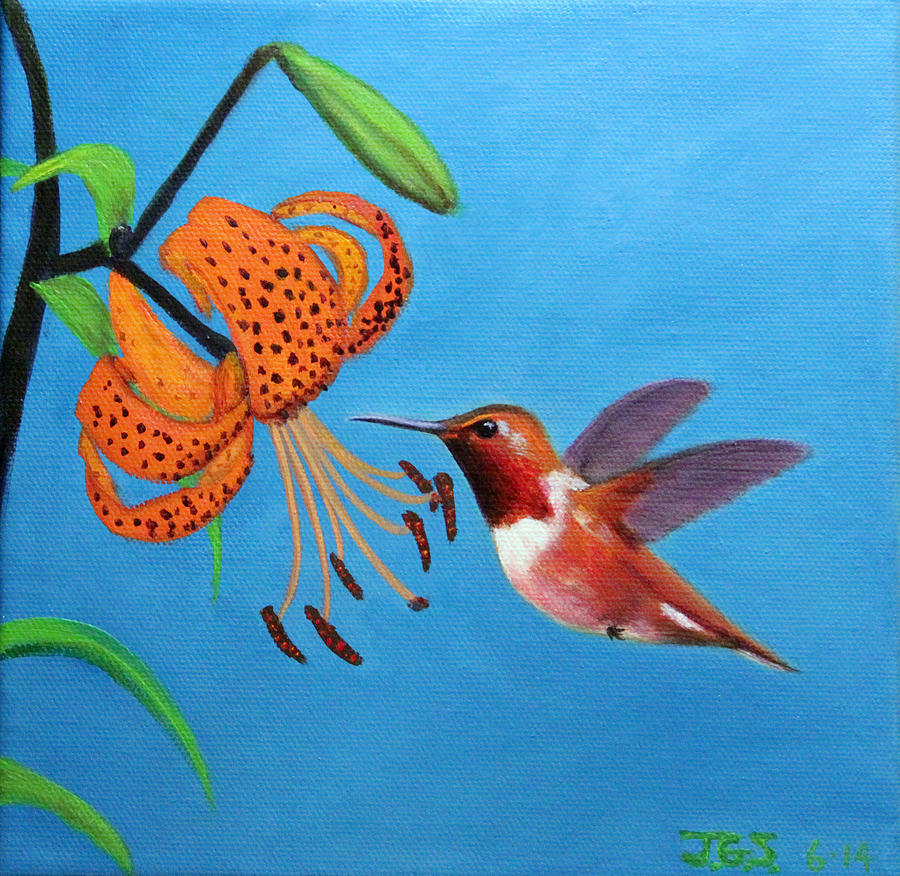 Lily and Hummer Painting by Janet Greer Sammons