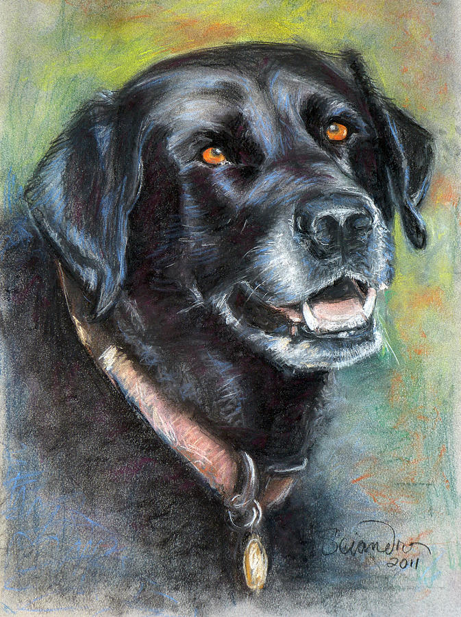Lily- Black Labrador Retriever Painting by Sciandra  
