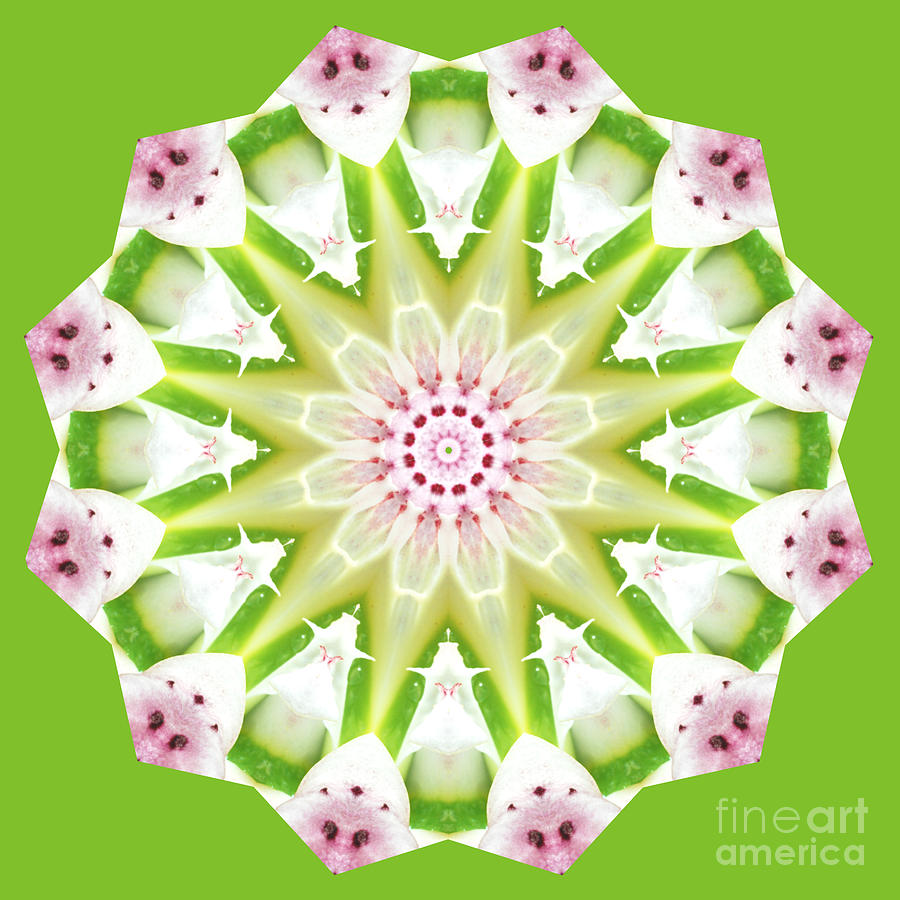 Lily Chain 1 Digital Art by Wendy Wilton