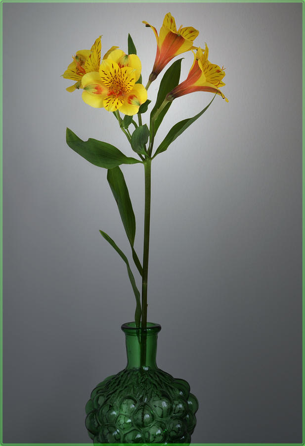 Flower Photograph - Lily In A Bottle. by Terence Davis