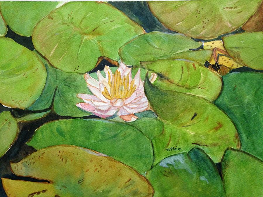 Lily in the Pond Painting by Diane Elgin - Fine Art America