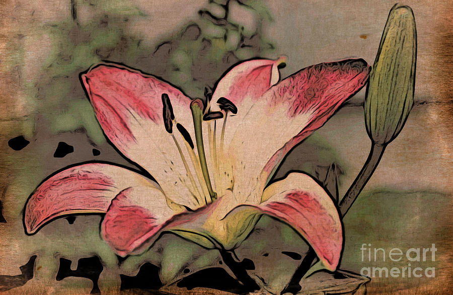 Lily Painting by Jacklyn Duryea Fraizer