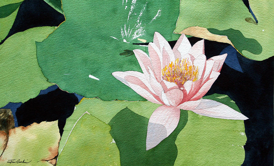 Lily Painting by Jim Gerkin - Fine Art America