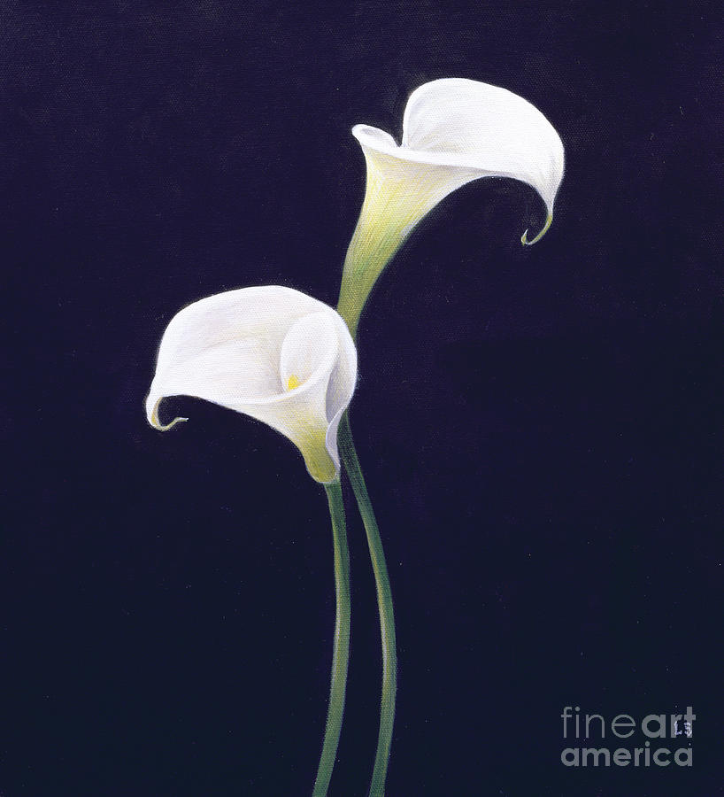 Lily Painting by Lincoln Seligman