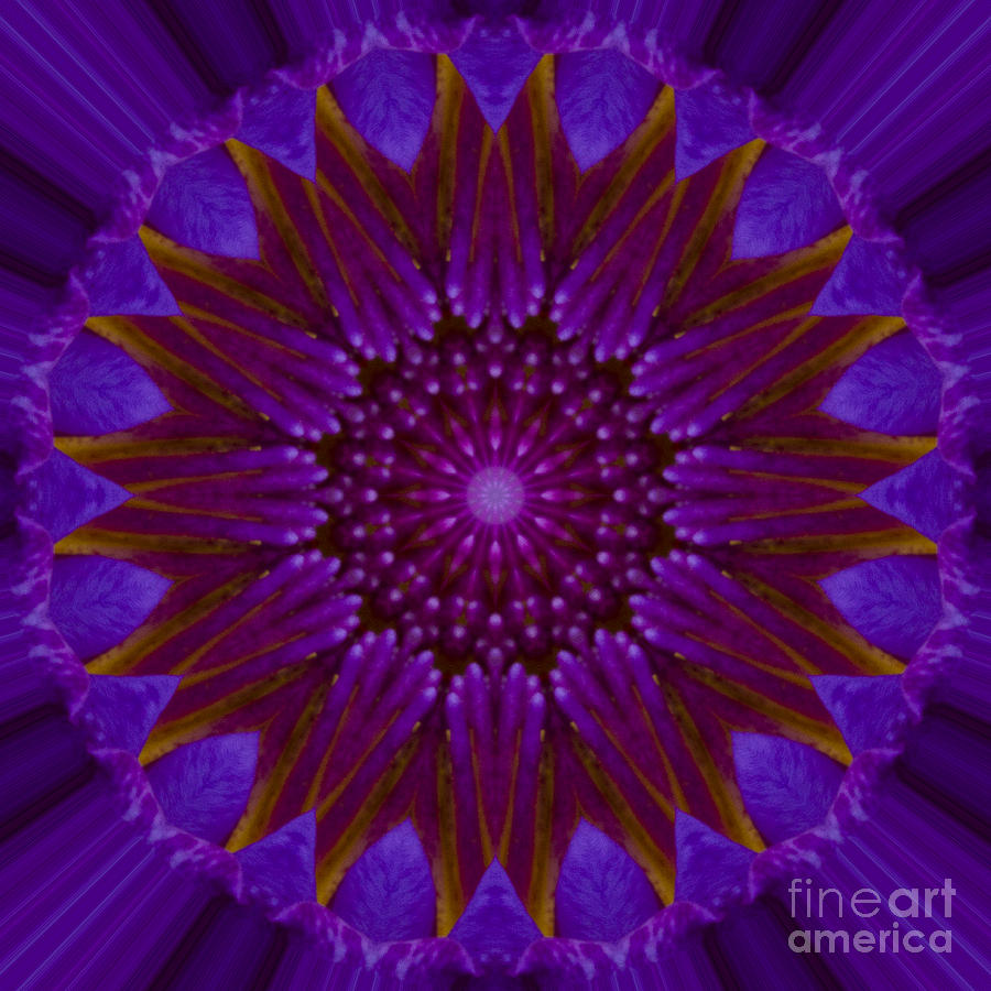 Lily Mandala Image 1 Photograph by Carrie Cranwill