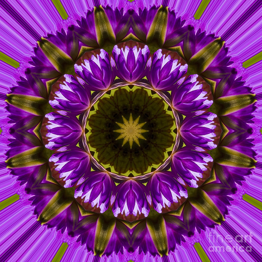 Lily Mandala Image 2 Photograph by Carrie Cranwill