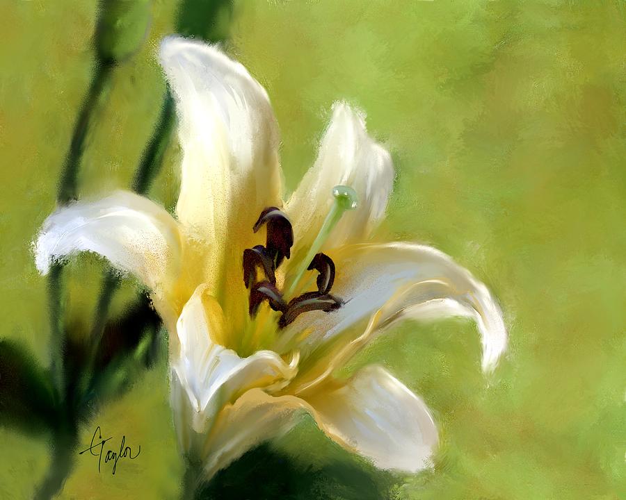 Flower Painting - Lily of the Field by Colleen Taylor