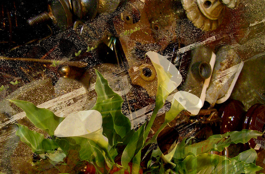 Lily of the Scrap Pile Photograph by Laureen Murtha Menzl
