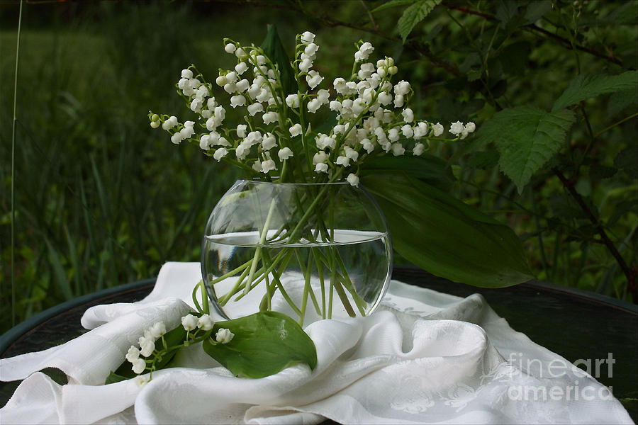 Flower Photograph - Lily-of-the-valley Bouquet by Luv Photography