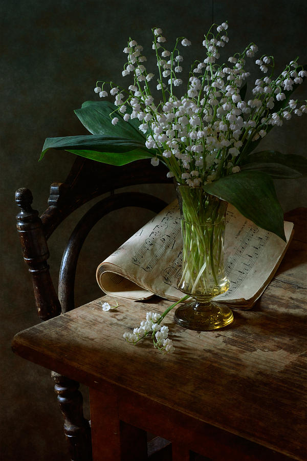 Still Life Photograph - Lily Of The Valley  by Nikolay Panov