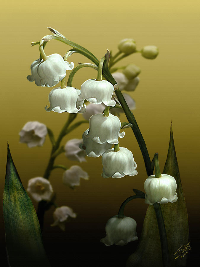 Lily of the Valley Digital Art by M Spadecaller