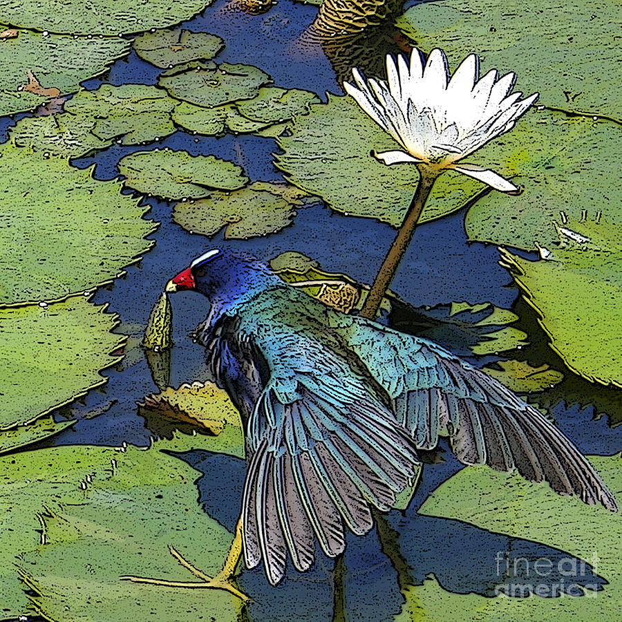 Lily Pad with Bird Digital Art by Jacquelinemari