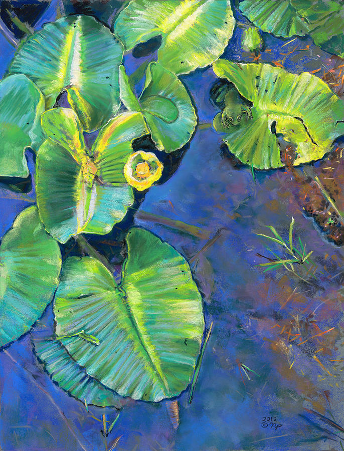 Frog Painting - Lily Pads by Nick Payne