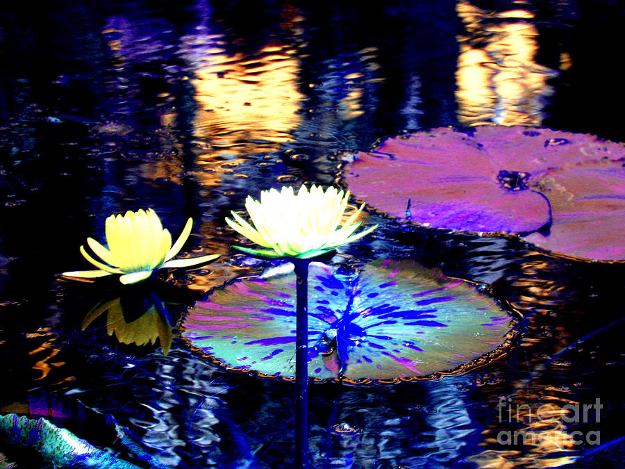 Lily Pond Fantasy Photograph by Anita Lewis