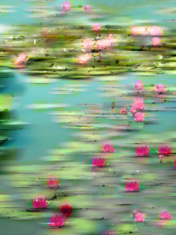 Lily Pond Photograph - Lily Pond Impressions by Jessica Jenney Lily Pond Photograph - Lily Pond Impressions by Jessica Jenney
