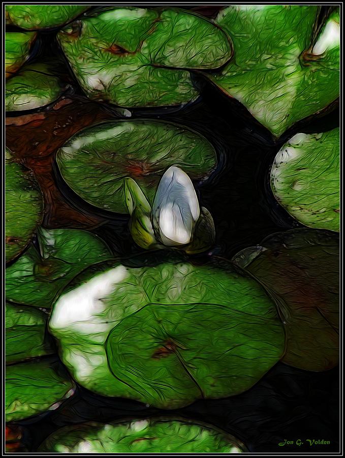 Lily Pond Painting by Jon Volden