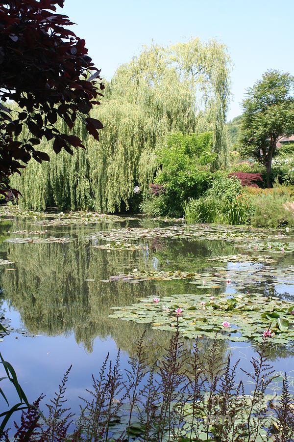 Lily Pond - Monets Garden - France Photograph by Christiane Schulze Art And Photography